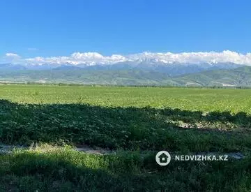 Участок 80.0 соток, миниатюра 3