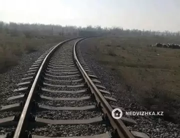 Другое, миниатюра 7