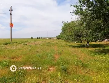 Участок 300.0 соток, миниатюра 12