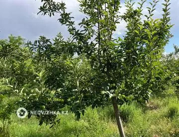 Участок 650.0 соток, миниатюра 10