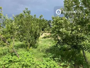 Участок 650.0 соток, миниатюра 11