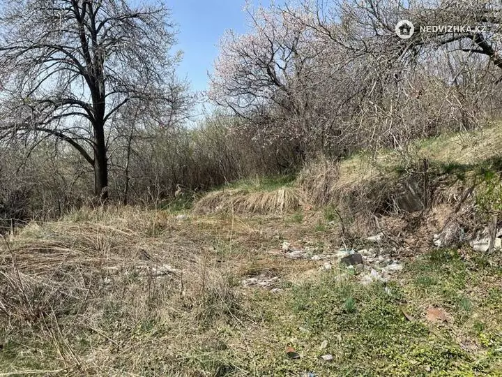 Участок 6.0 соток, фотография 3