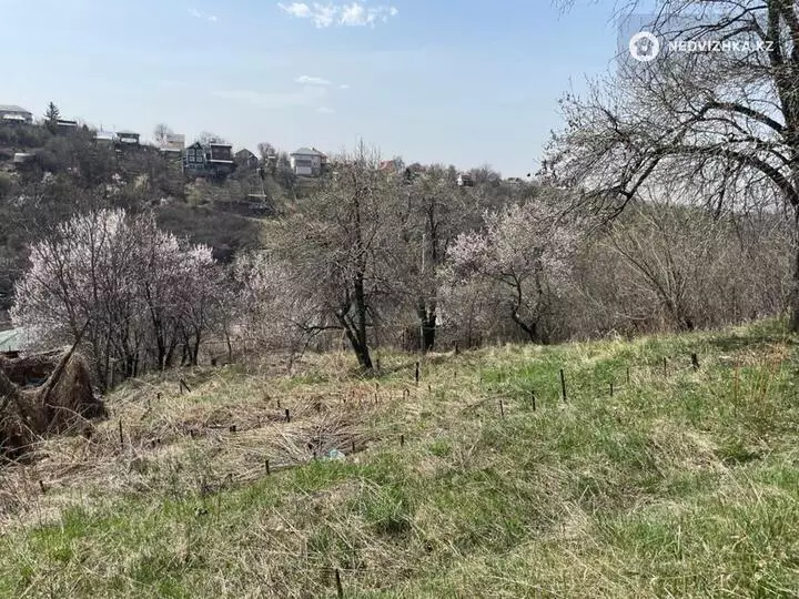 Участок 6.0 соток, фотография 4