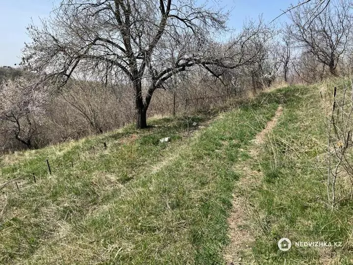 Участок 6.0 соток, фотография 5