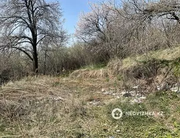 Участок 6.0 соток, миниатюра 1