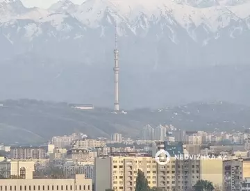 2-комнатная квартира, этаж 11 из 13, 56 м², миниатюра 7