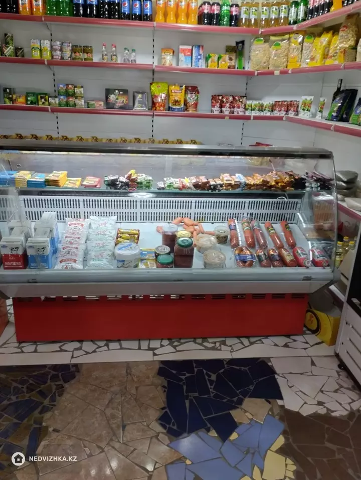 Магазин, этаж 1 из 1, В административном здании, 66 м², фотография 3