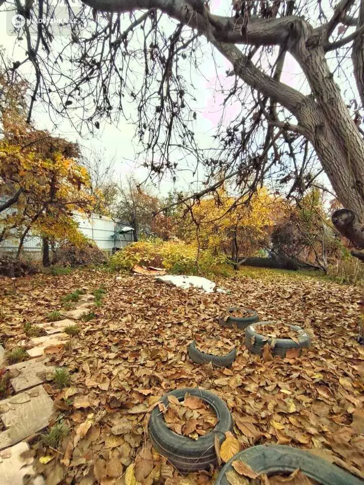 3-комнатный дом, 10.6 соток, 55 м², фотография 2