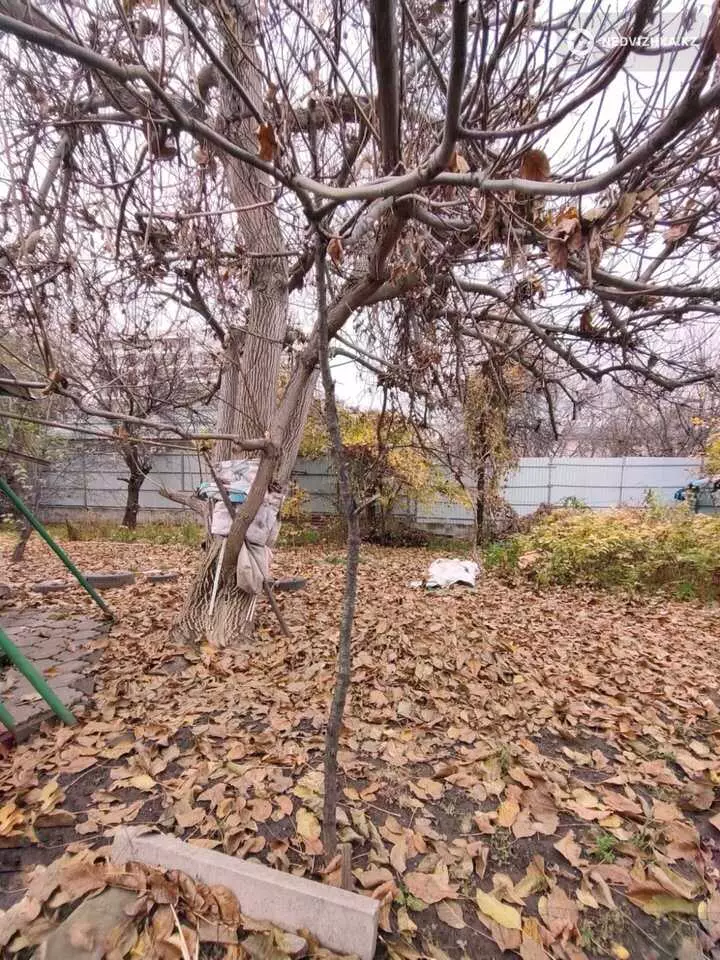 3-комнатный дом, 10.6 соток, 55 м², фотография 3
