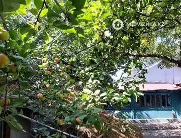 3-комнатный дом, 23 соток, 61 м², миниатюра 10
