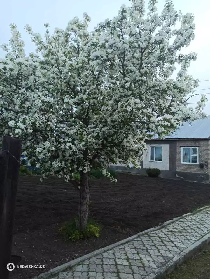 4-комнатный дом, 9.4 соток, 98 м², фотография 2
