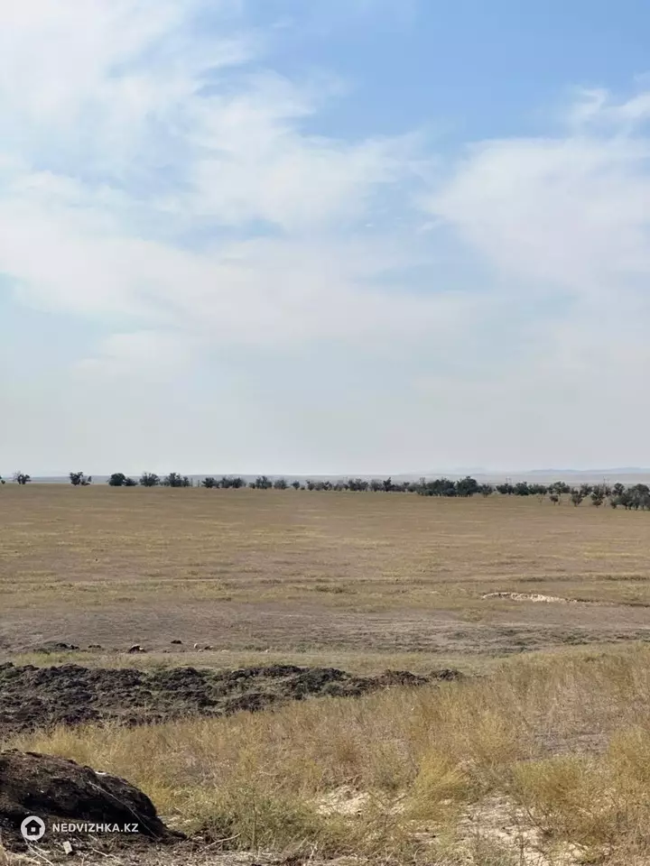Участок 4000.0 га, фотография 2