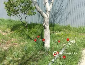 3-бөлмелі үй, 8.3 соттық, 104 м², 8-нобай