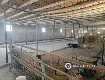 Орынжай, қабат 1 барлық қабат саны 1, Жеке ғимарат, 800 м², 10-нобай