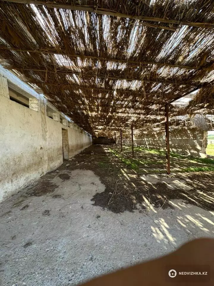 Помещение, 1 этаж, 2 922 м², фотография 3