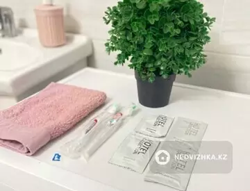 1-комнатная квартира, этаж 2 из 24, 40 м², Посуточно, миниатюра 1