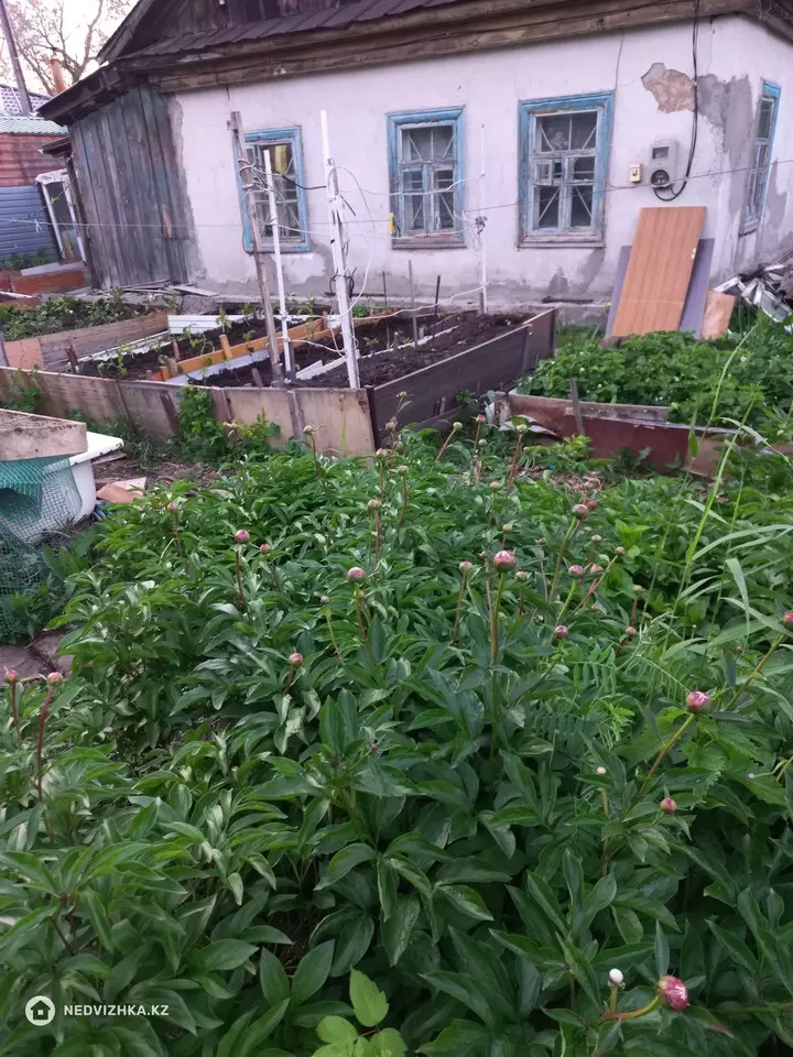 3-комнатный дом, 3.5 соток, 60 м², фотография 3