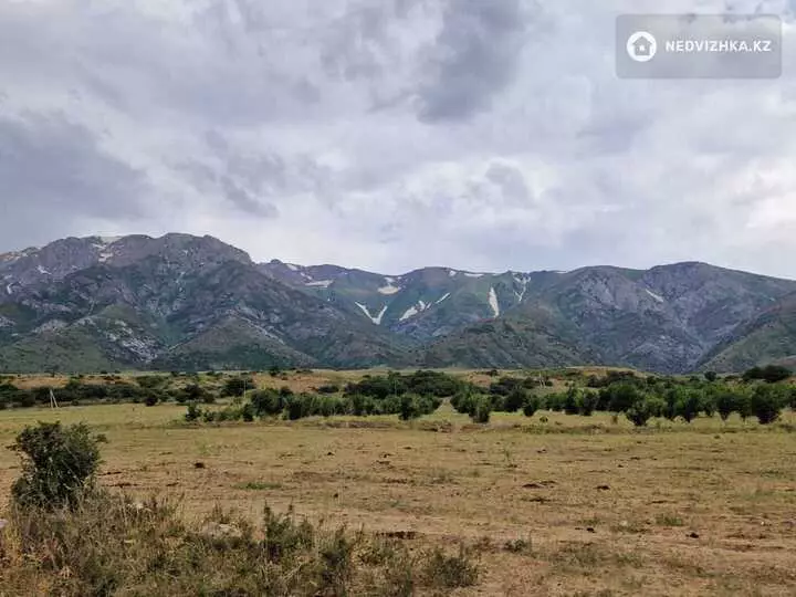 Участок 8.0 соток, фотография 4