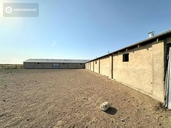 Помещение, этаж 1 из 1, Отдельно стоящее здание, 1 200 м², фотография 2
