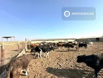 Помещение, этаж 1 из 1, Отдельно стоящее здание, 1 200 м², миниатюра 1