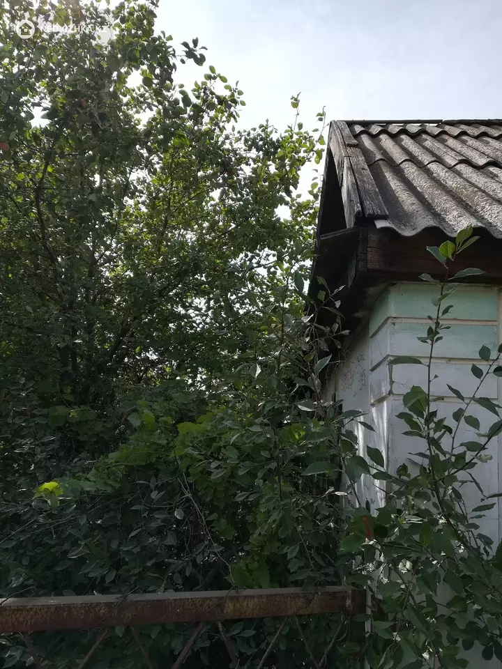1-комнатный дом, 11 соток, 12 м², фотография 3