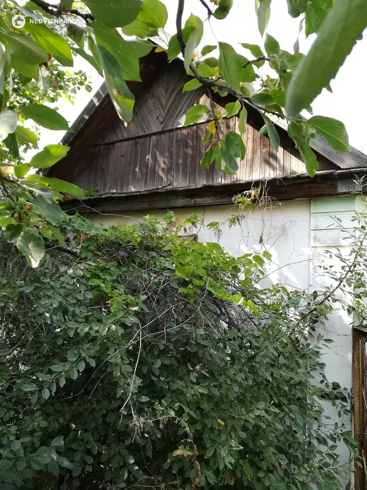 1-комнатный дом, 11 соток, 12 м², фотография 5