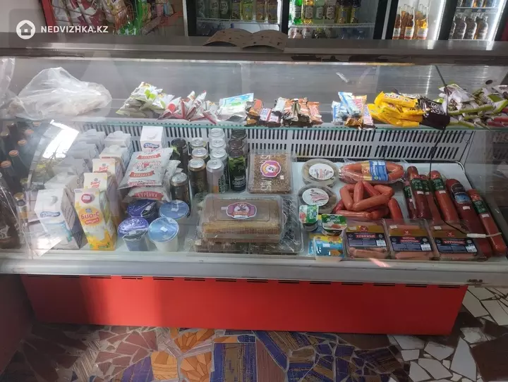 Магазин, этаж 1 из 1, В административном здании, 66 м², фотография 2