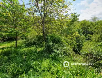 Участок 10.0 соток, миниатюра 3