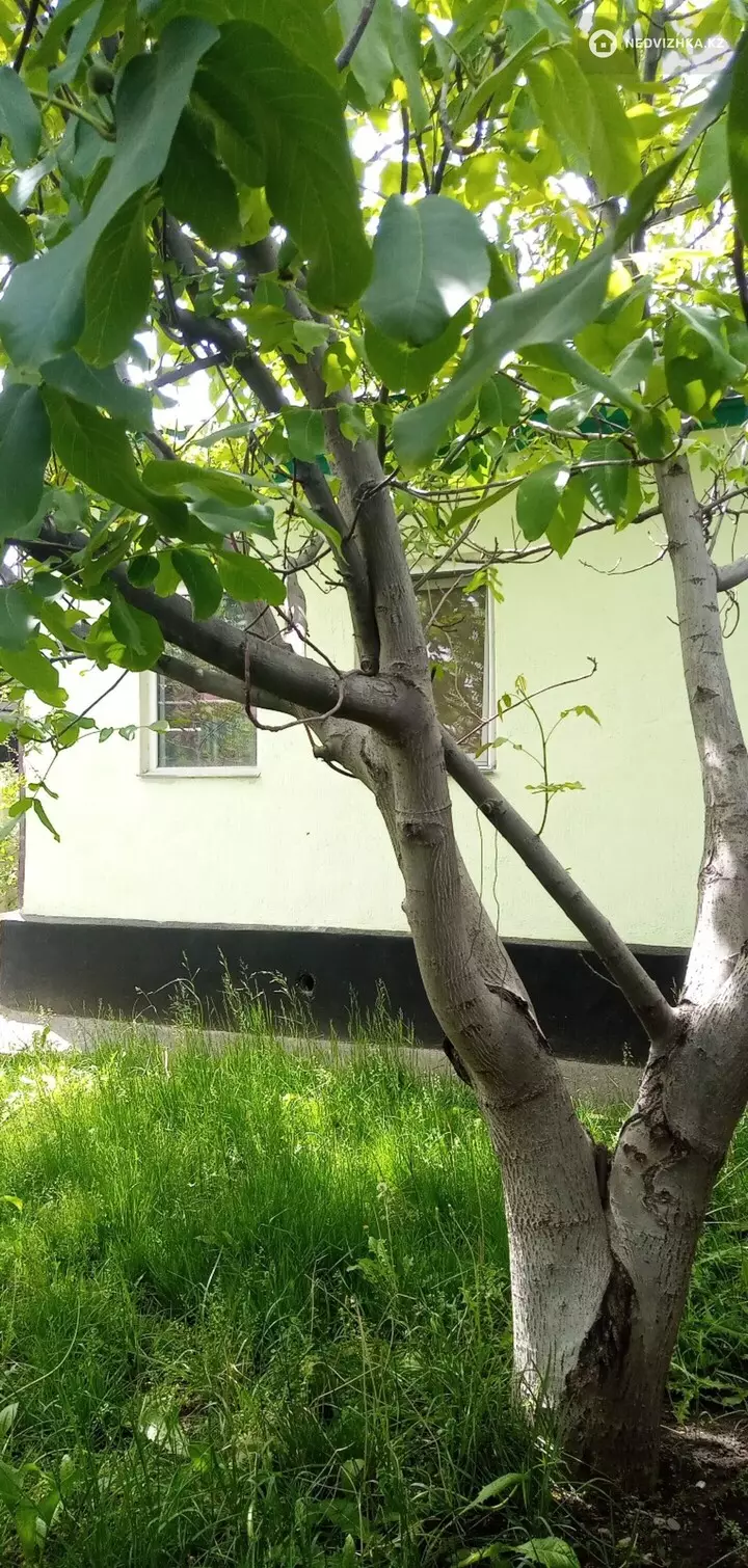 8-комнатный дом, 6.5 соток, 109 м², фотография 4