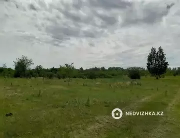 Участок 8.0 га, миниатюра 3