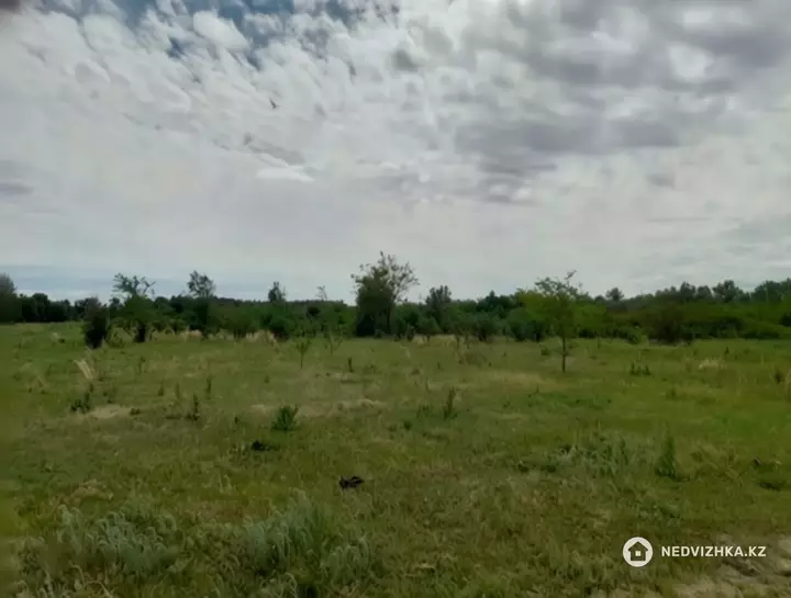Участок 8.0 га, фотография 2