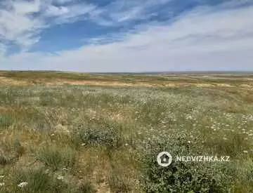 Участок 51.0 га, миниатюра 1
