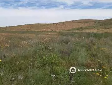 Участок 51.0 га, миниатюра 3