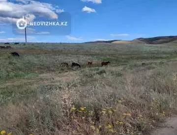 Участок 143.0 га, миниатюра 2