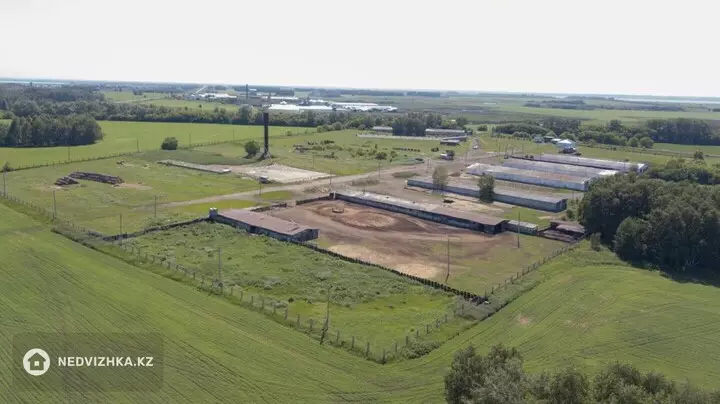 Помещение, этаж 1 из 1, 10 000 м², 3-фотосурет