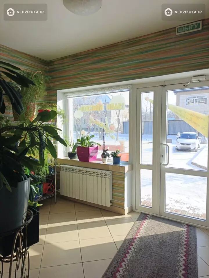 Офис, Магазин и др., этаж 1 из 3, В жилом доме, 215 м², фотография 3