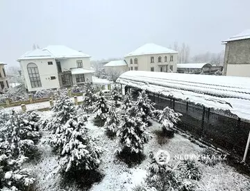 9-комнатный дом, 12 соток, 500 м², миниатюра 3