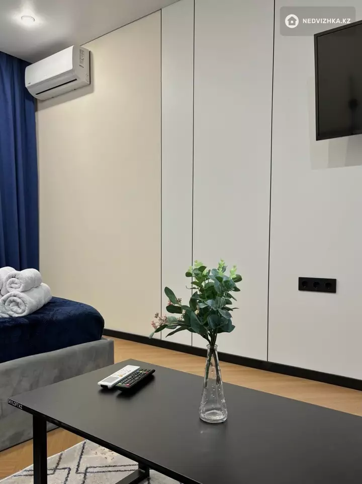 1-комнатная квартира, этаж 10 из 10, 27 м², Посуточно, фотография 3