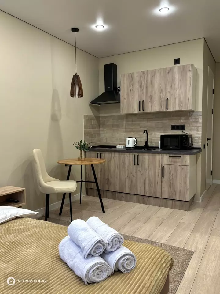 1-комнатная квартира, этаж 9 из 10, 27 м², Посуточно, фотография 4
