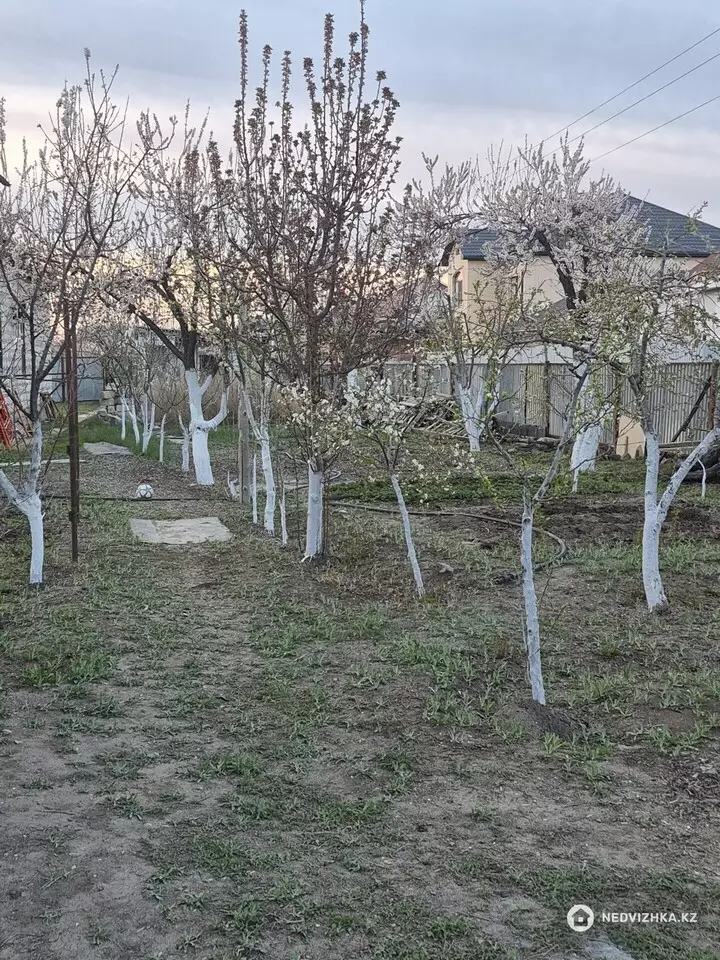 4-комнатный дом, 8 соток, 600 м², фотография 3
