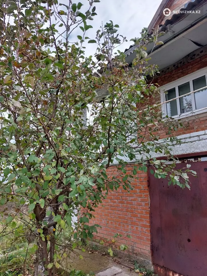 2-комнатная дача, 12 соток, 1 255 м², фотография 3