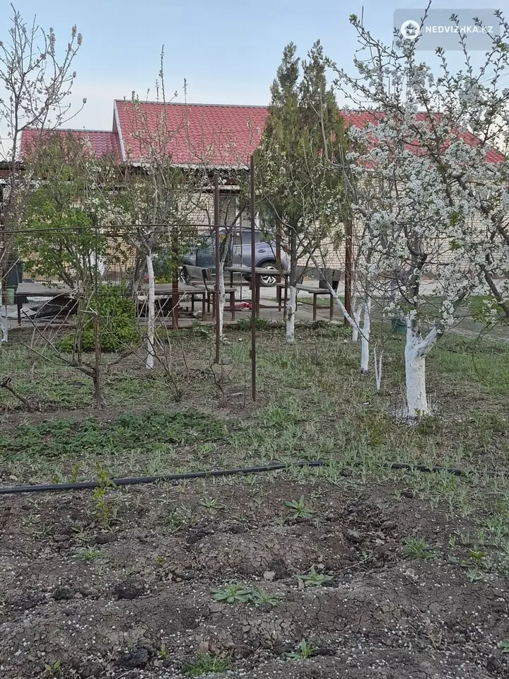 4-комнатный дом, 8 соток, 600 м², фотография 4
