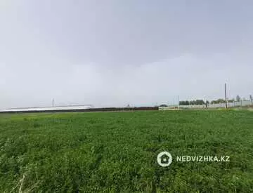 Участок 23.0 соток, миниатюра 8