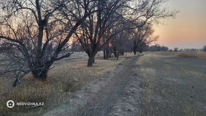 5.0 га жер телімі, 5-фотосурет