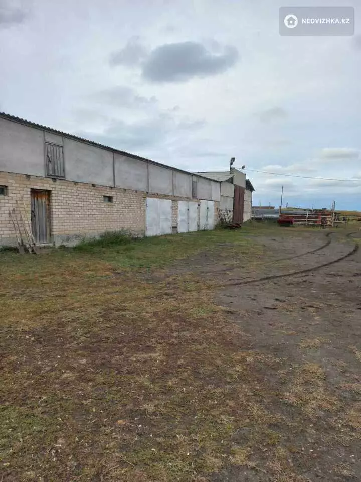 300 м², 7-комнатный дом, 2500 соток, 300 м², изображение - 1