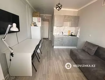 1-комнатная квартира, этаж 9 из 9, 24 м², миниатюра 1