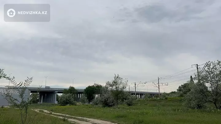 Участок 100.0 соток, фотография 4