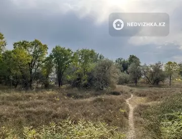 100.0 соток жер телімі, 8-нобай