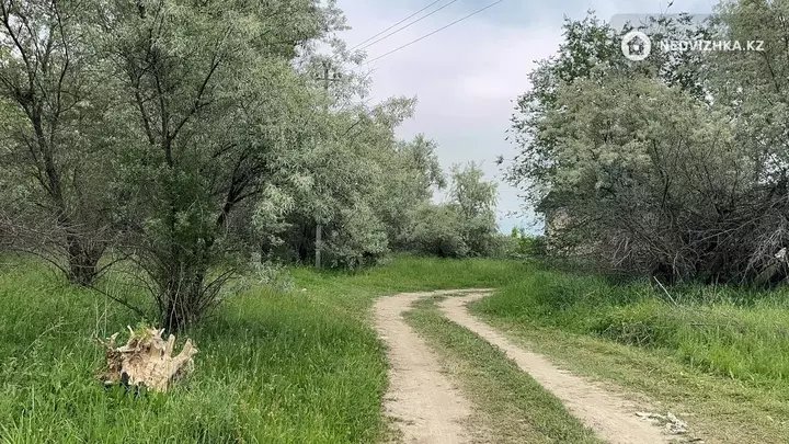Участок 100.0 соток, фотография 5