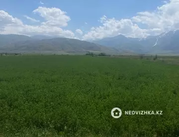 Участок 29.0 га